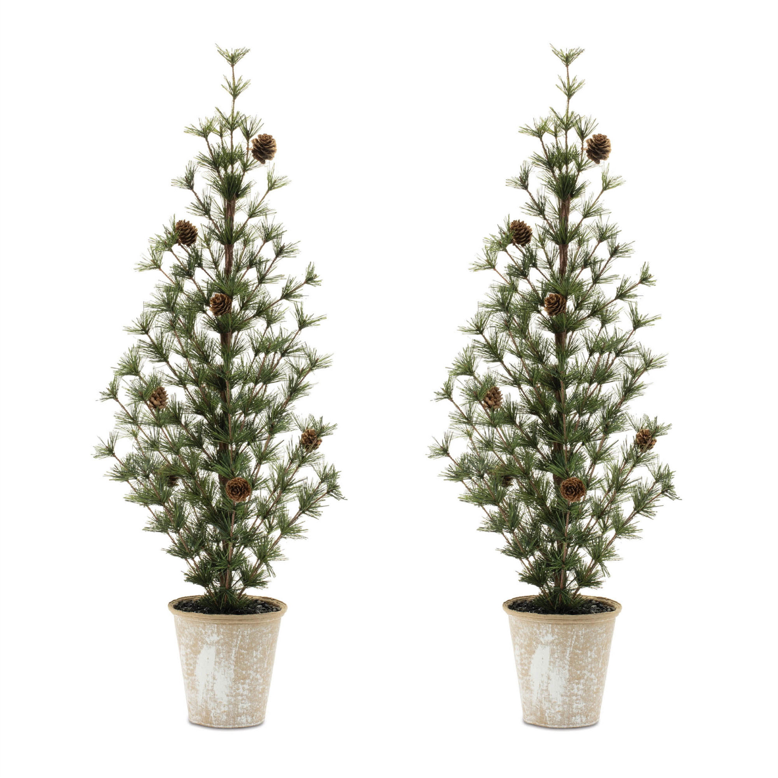 The Holiday Aisle® Potted Mini Pine Tree (Set of 2) | Wayfair