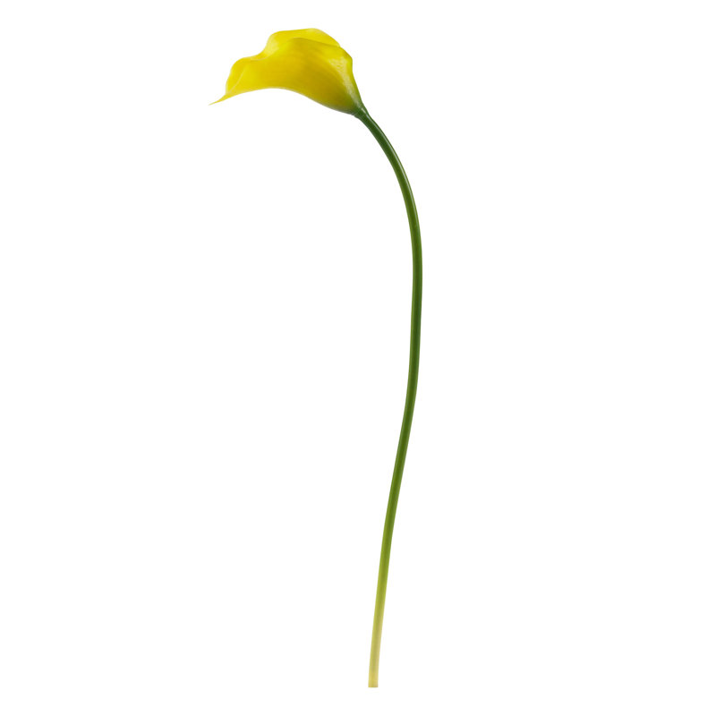 Calla Lilies Arrangement, Yellow