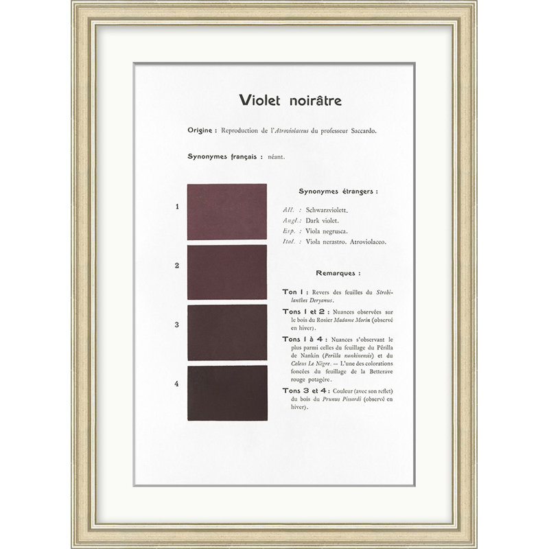 Violet 9 Print by Danielle Rollins