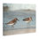 «Little Two Sandpiper pair», art mural par Kim Allen