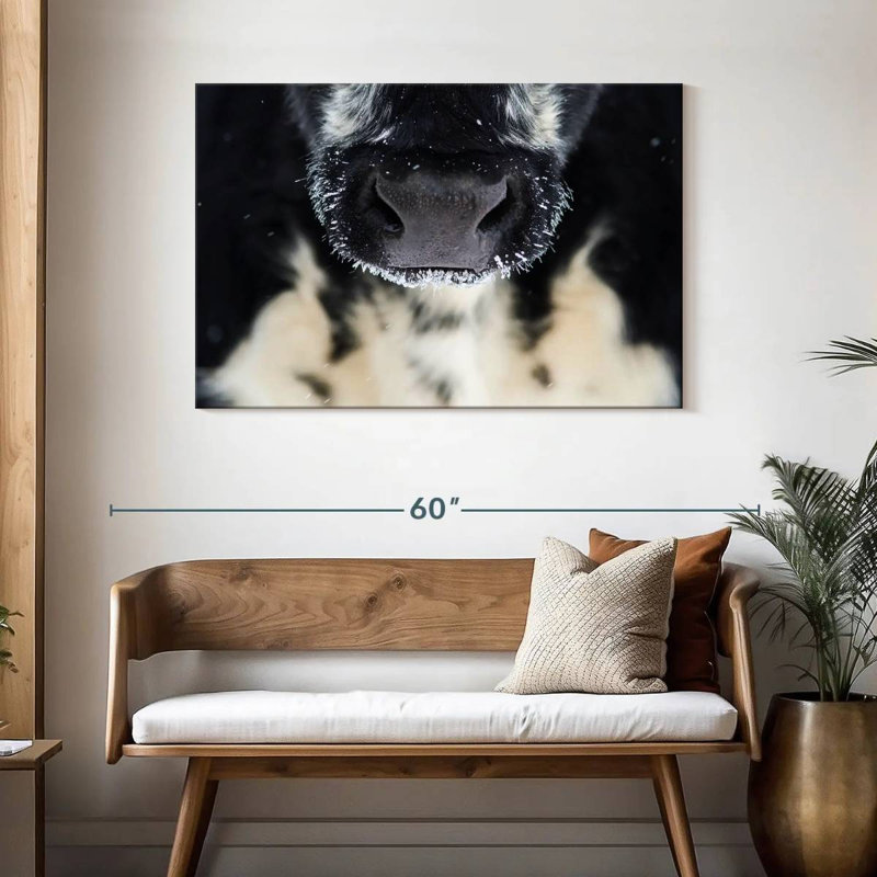 Brampt Cow Nose, 30" H x 45" W