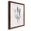 " Simply Imperial " 3 - Pieces Painting Print-644663665-644663671