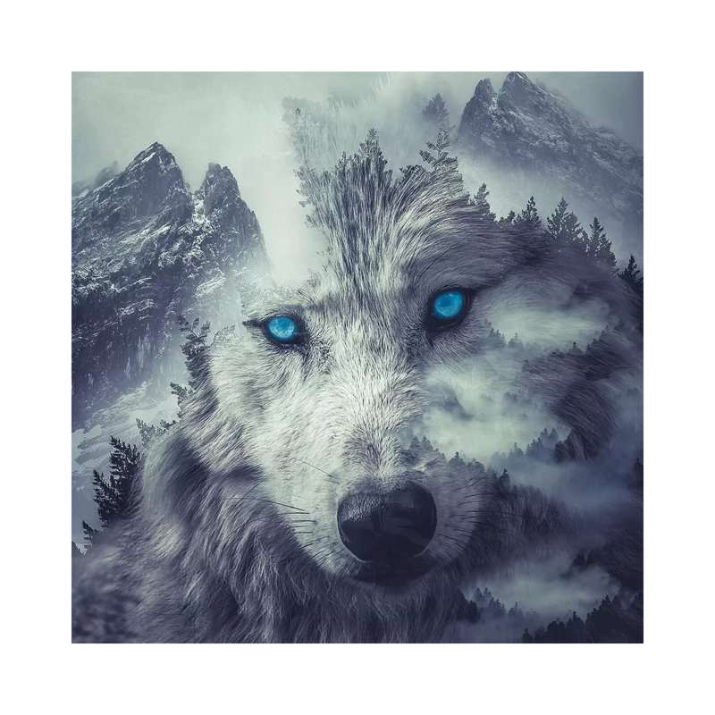 Mountain Wolf by Paul Haag - Wrapped Canvas Print, 12" H x 12" W x 0.75" D