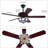 Addalyn 52'' Ceiling Fan with LED Lights