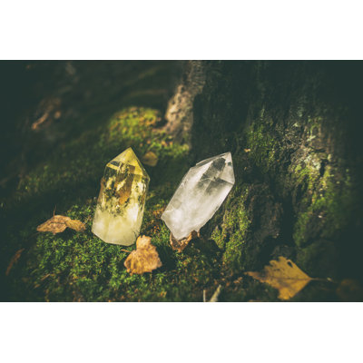 Beautiful Crystals In The Forest by Janiecbros - No Frame Art Prints on Canvas