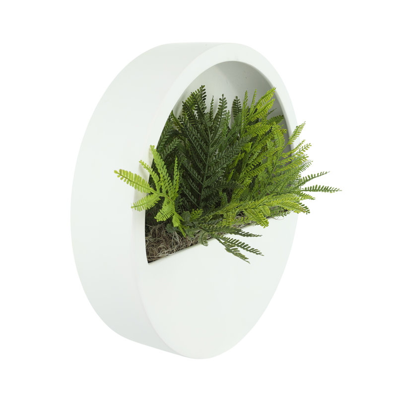 Outdoor UV Rated Ferns in Hanging Fiberstone Planter