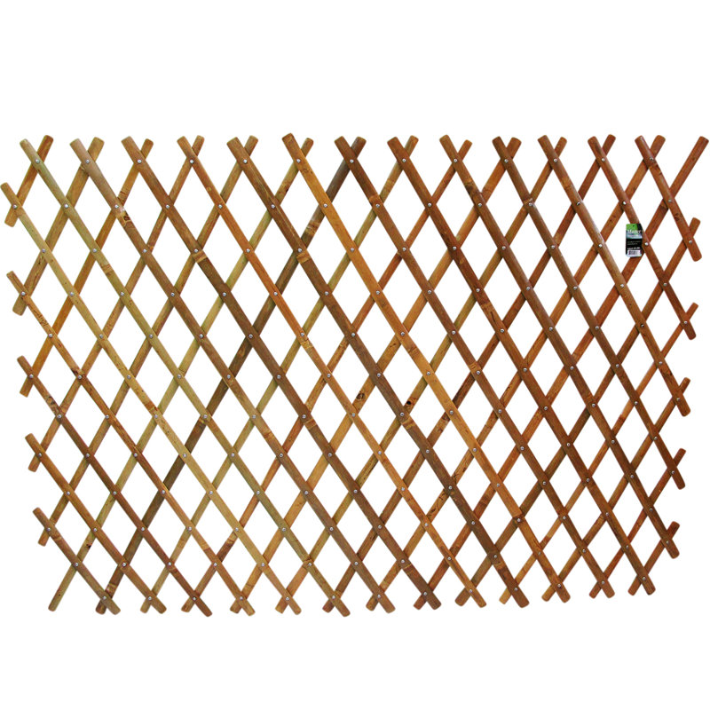 Treillage d'expansion en bois, Brun clair, H 48 po x l 72 po x P 1 po