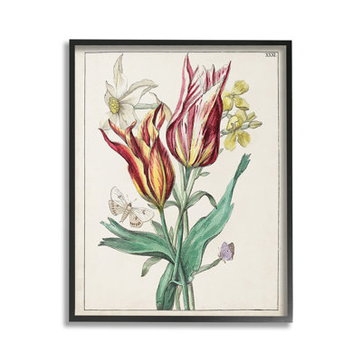 Tulips&MothsStudyGicleeArtbyWorldArtGroup