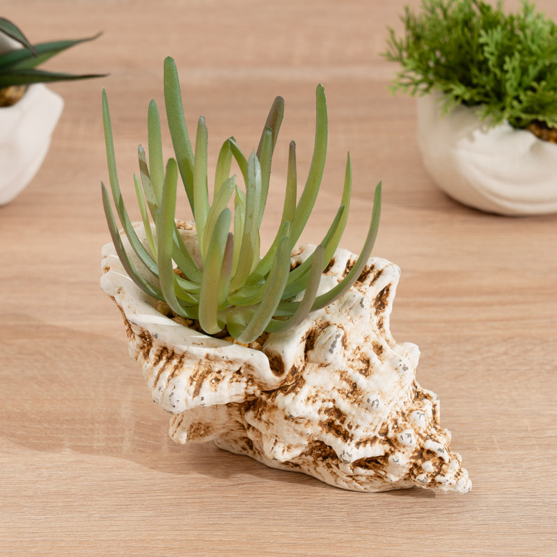 16cm Faux Succulent in Cement Shell