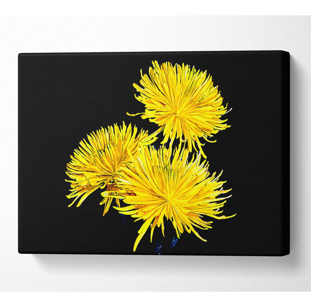 Dandelion Delight - Kunstdrucke auf Leinwand