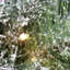 Couronne de Noël artificielle 24 po