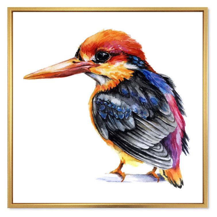 Stock Art Drawing of a Ringed Kingfisher