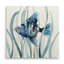 Pei poisson en ruppie maritime II - impression-1233960586-1254055542-1341252532