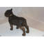 Statue de chien Kerensa Terrier
