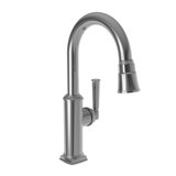 Zemora Single Handle Pull Down Bar Faucet