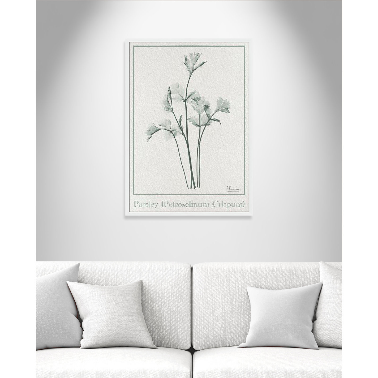 Jeanette "Parsley II" Print by Albert Koetsier, 35.5" H x 25.5" W x 1.25" D, Satin White Framed Paper