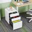 Kialie Plastic Mobile  Accent Cabinet, File Cabinet with Lock and 3 Drawer-590513137