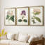 Antique Botanical Collection-522022664-522022668