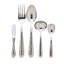 Florence 5 - Piece Stainless Steel Hostess Set