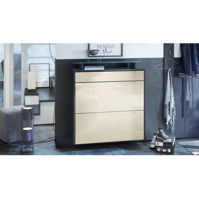 Afjol 16 Pair Shoe Storage Cabinet