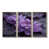 Toile naturelle avec cadre flottant
