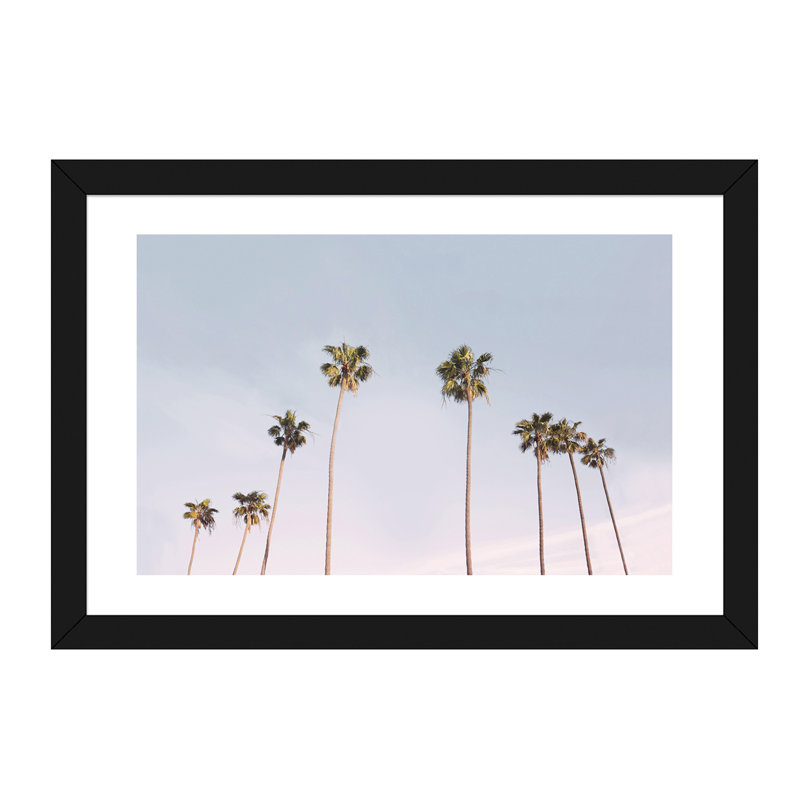 Photographie « california trees », H 16 po x l 24 po x P 1 po, Papier avec cadre noir