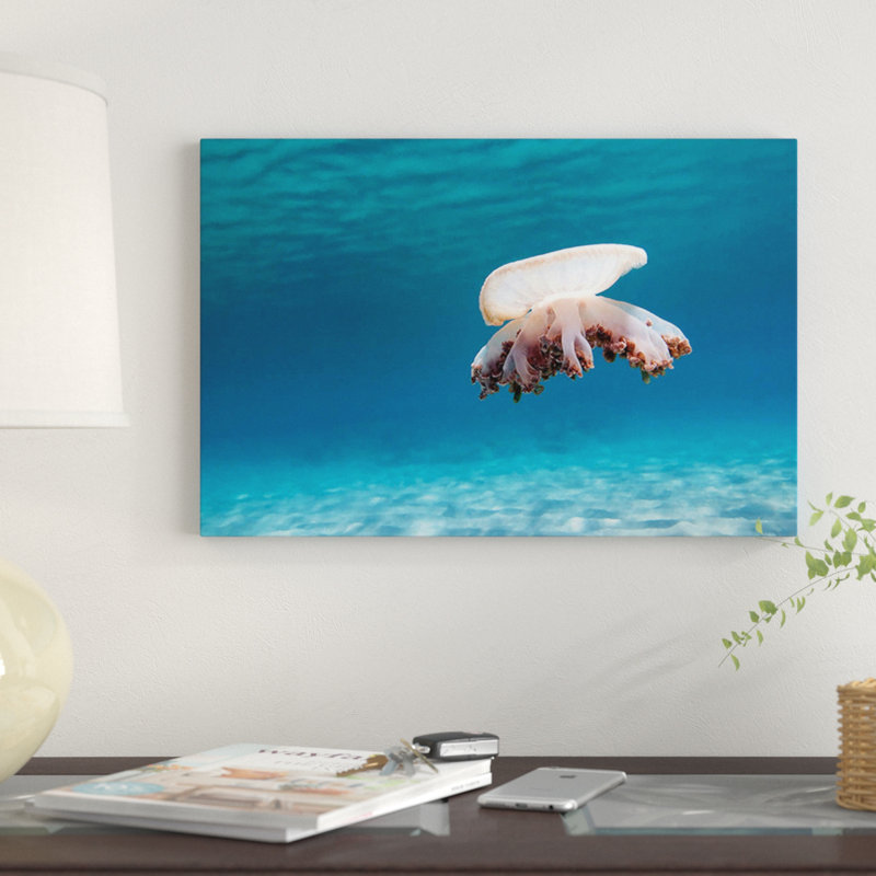 « envers jellyfish », reproduction de photo sur toile, H 8 po x l 12 po x P 0,75 po, Toile tendue, Pas de tapis
