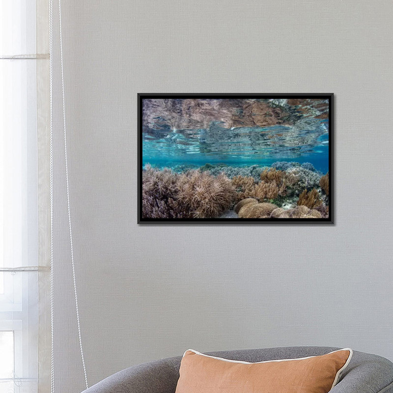 A Healthy And Diverse Coral Reef Grows by Ethan Daniels - Unframed Print on Canvas, 12" H x 18" W x 1.5" D, Wrapped Canvas