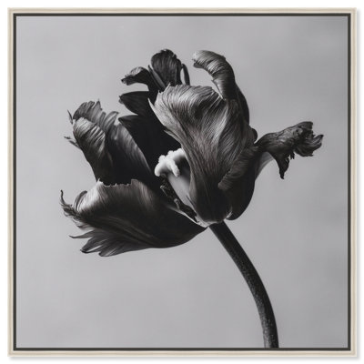Tidal Wilt I Floral & Botanical Canvas Print by Oliver Gal, Black Frame, 12 x 12