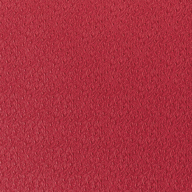 Ostrich Wallpaper, Scarlet