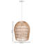 Alaney 1 - Light Bronze Lantern Pendant
