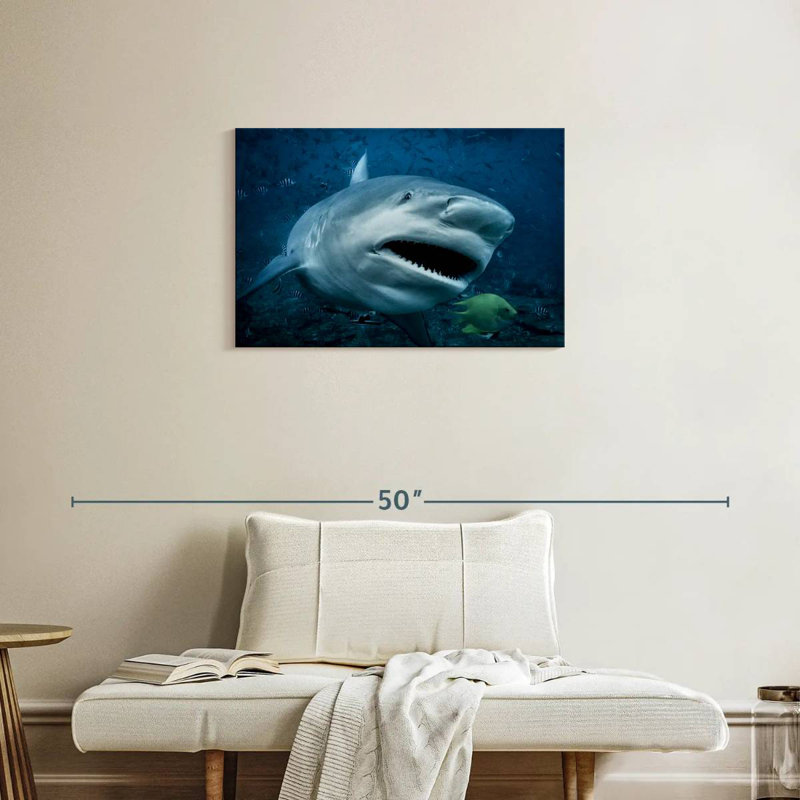 Requin-taupe en action, H 20 po x l 30 po