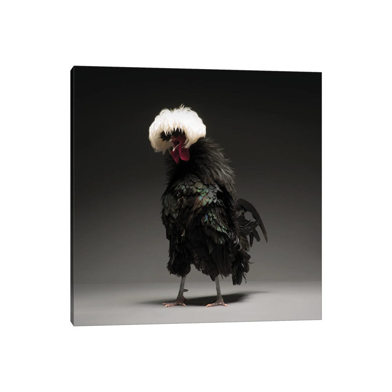 Polish Big - Wrapped Canvas Print, 30.48 cm H x 30.48 cm W