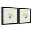 Cornales Hydrangea I Cornales Hydrangea I - ensemble de 2 reproductions de cadres photo-2037331490-2039803649-2110273730
