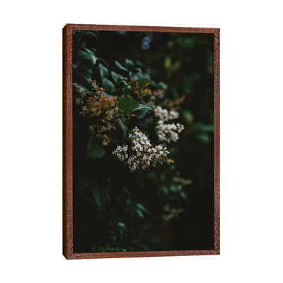 Washington Blooms by Bethany Young - Print on Canvas