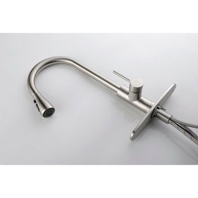 Single Handle High Arc Pull Out Kitchen Faucet,Single Level Stainless Steel Kitchen Sink Faucets With Pull Down Sprayer