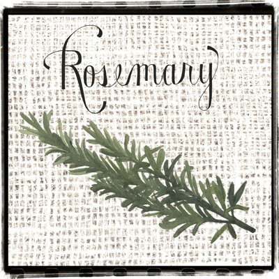 Herbes en toile de jute I
