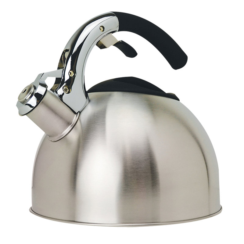 Primula 3 Quarts Stainless Steel Stovetop Tea Kettle