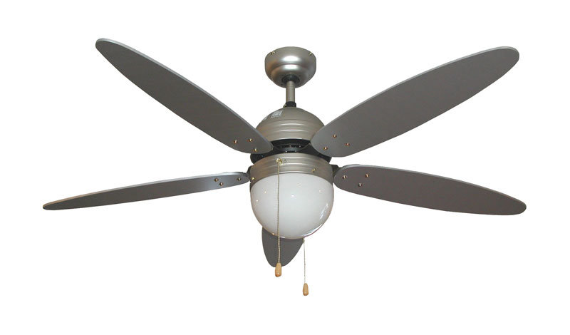 Ceiling Fan Modern