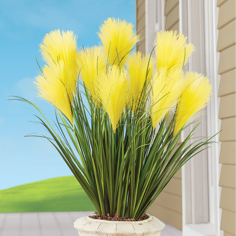Pampas