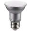 5.5 Watt Gray LED Bulb