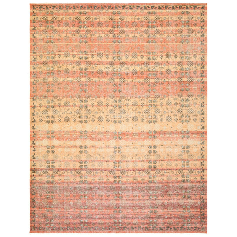 Tapis unique rectangulaire 11 pi 9 po x 15 pi 1 po Rajasthan