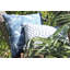 Square Indoor/Outdoor Pillow Cover & Insert