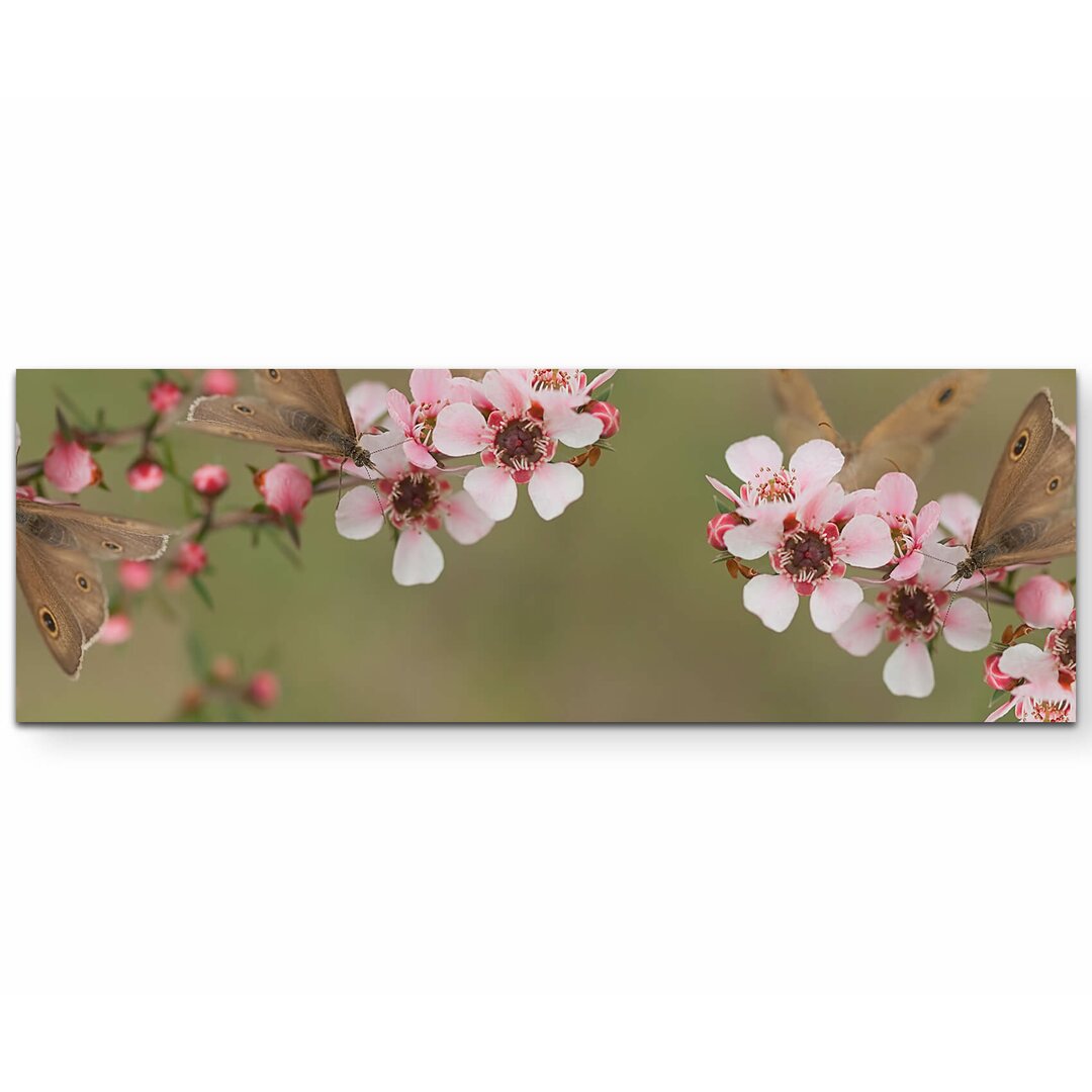 Leinwandbild Rosa blühende Myrtenzweige mit Schmetterlingen