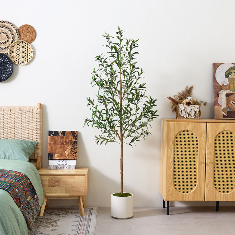 5 pi / 6 pi olivier artificiel en pot blanc moderne, 6ft