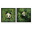 «Foliage Peekaboo Panda I», ensemble de 2 reproductions d'art mural Panda-102568406-102568407