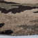Millia Shag Performance Camouflage Rug