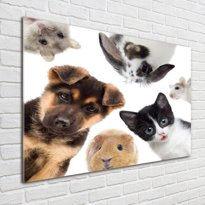 Pets - No Frame Print on Glass