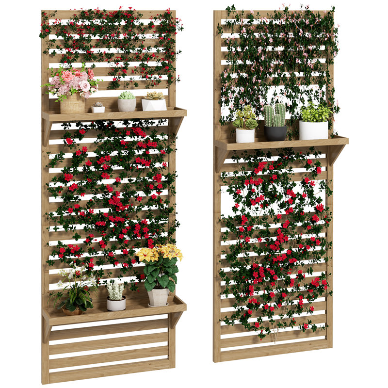 Pikulova Set of 2 Wall Mounted Plant Stand with Trellis, Brown