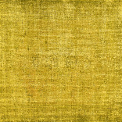 Elijames Performance Indoor Rug